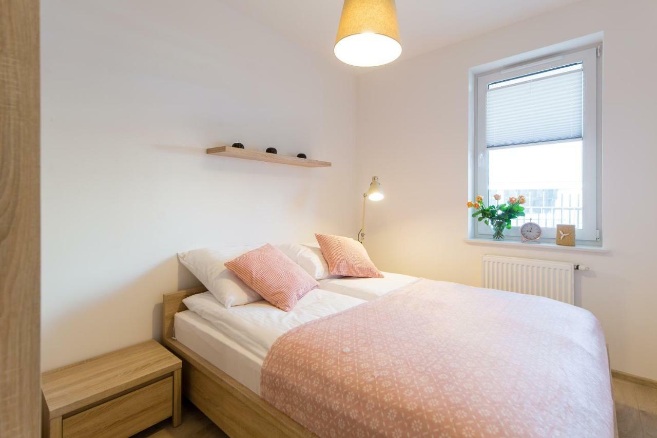 Apartament Rose 科沃布热格 外观 照片